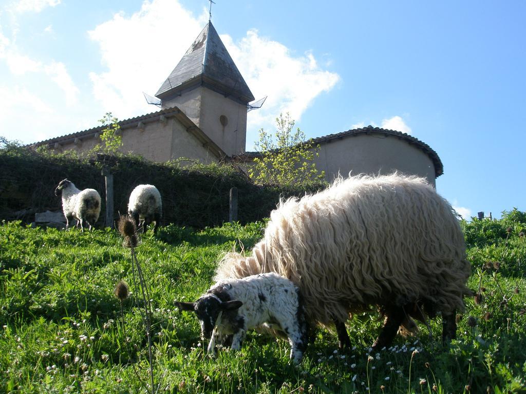 Casa Rural Parriola Villanueva de Arce Zewnętrze zdjęcie